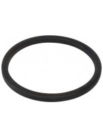 SCHWING Sealing Ring, SW10004761