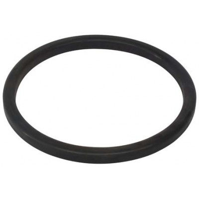 SCHWING Sealing Ring, SW10004761